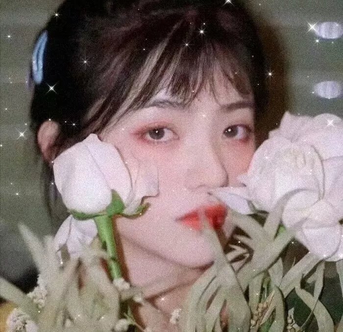 女王的哥基